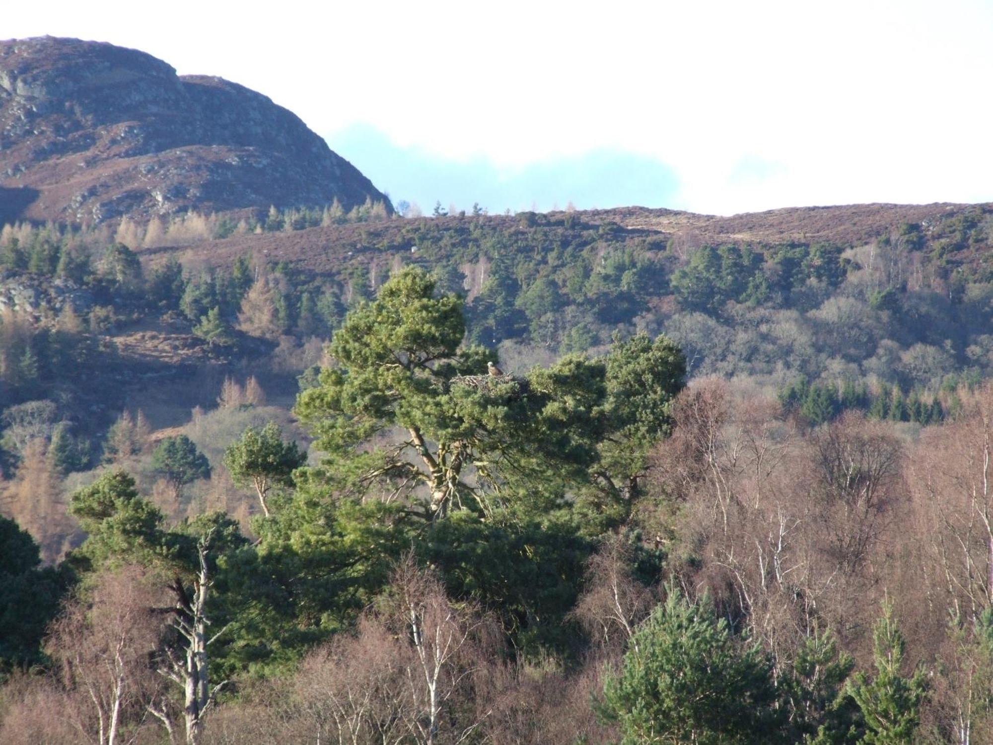 Kinloch House Hotel Blairgowrie and Rattray Bagian luar foto