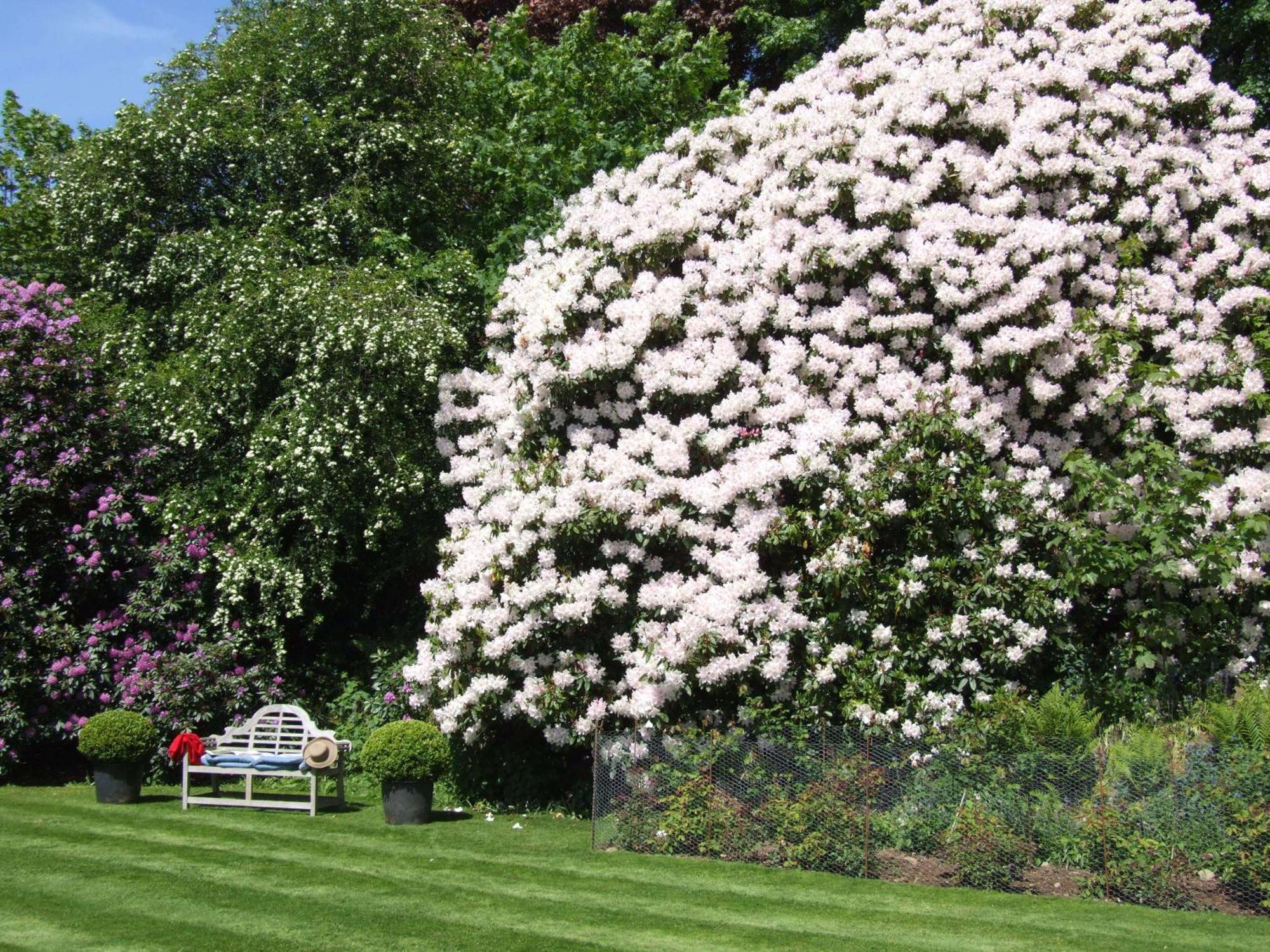 Kinloch House Hotel Blairgowrie and Rattray Bagian luar foto